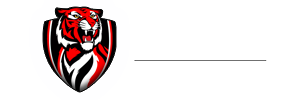 Moon Band Logo